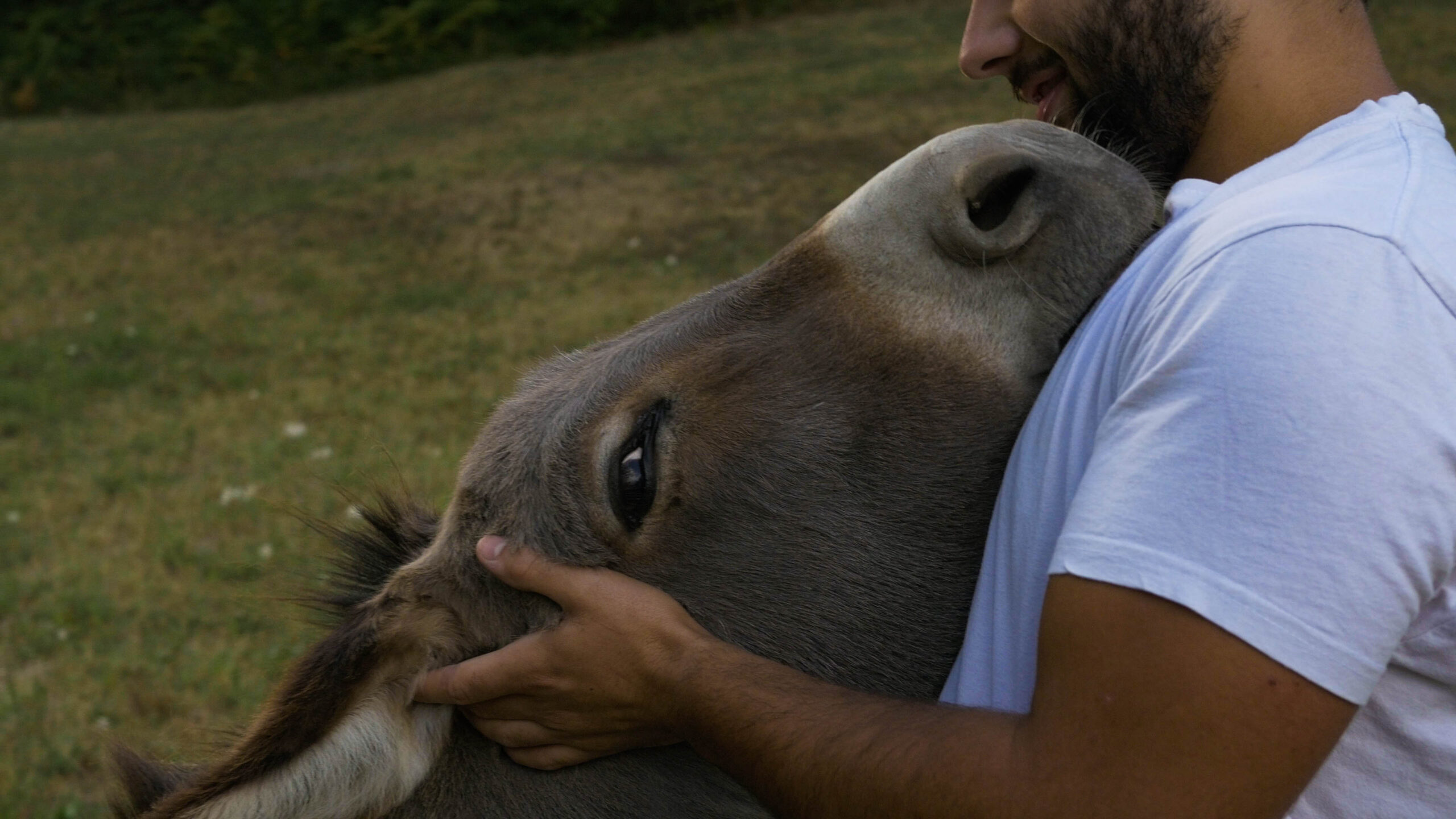 scegli la tua esperienza